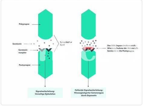 Richtig Dosierung Und Einnahme Von Dapoxetin